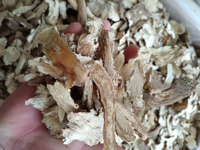 当归头片甘肃当归条当归片无硫批发零售供应各种规格