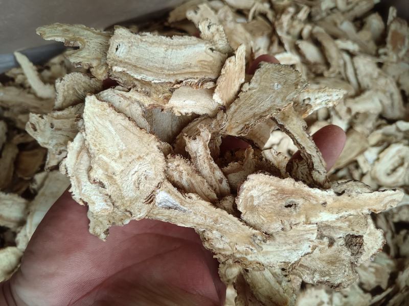 当归头片甘肃当归条当归片无硫批发零售供应各种规格
