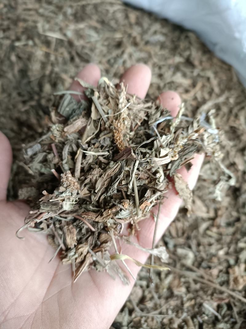 车前草，野生小颗，切片过筛，道地药材，全国发货