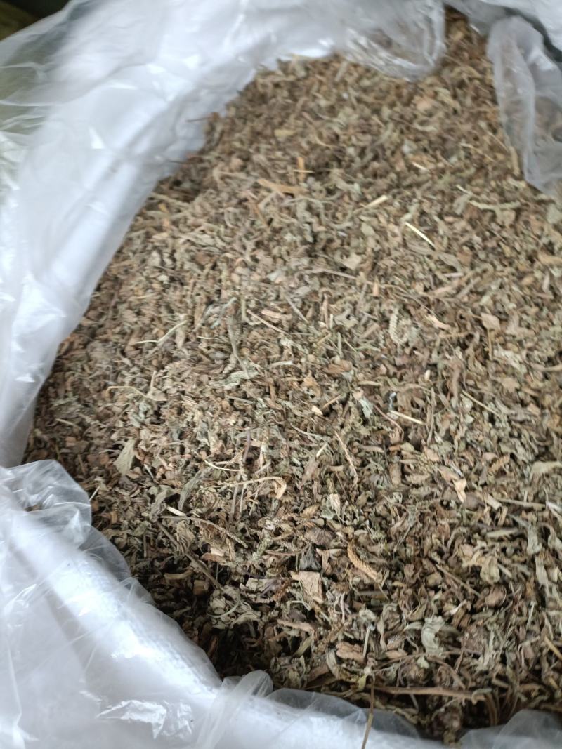 车前草，野生小颗，切片过筛，道地药材，全国发货