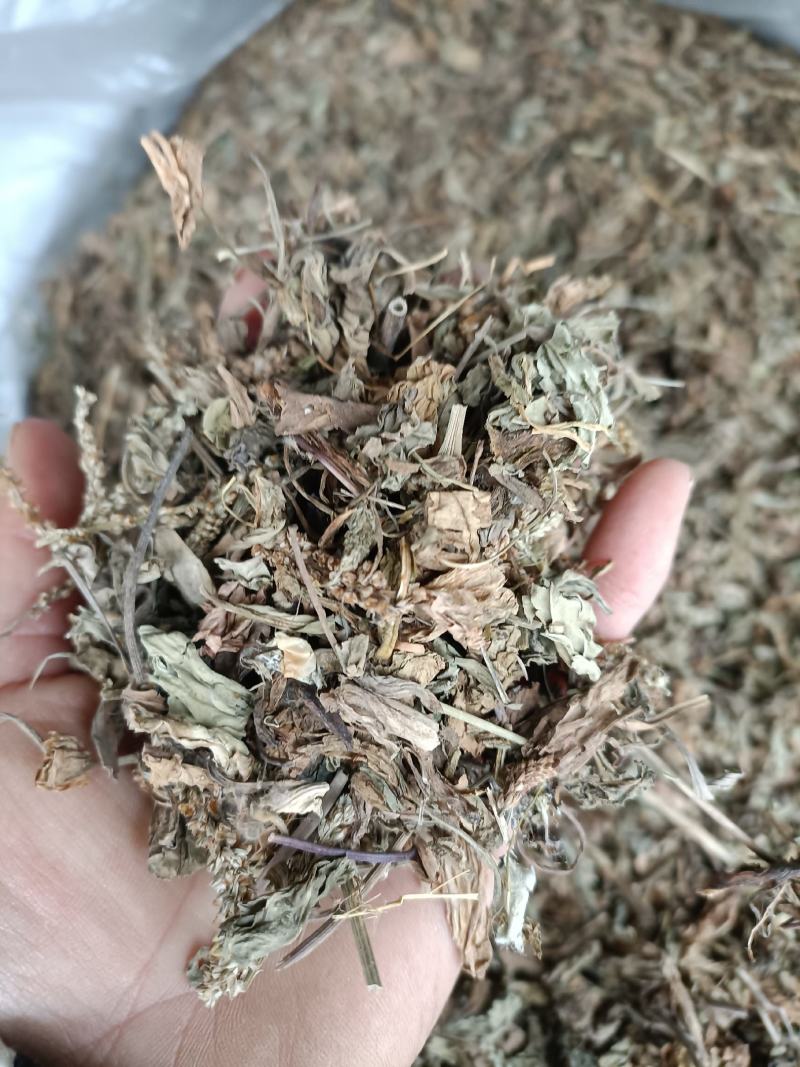 车前草，野生小颗，切片过筛，道地药材，全国发货