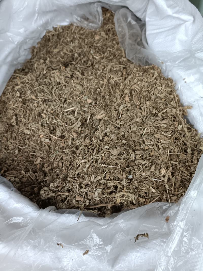车前草，野生小颗，切片过筛，道地药材，全国发货
