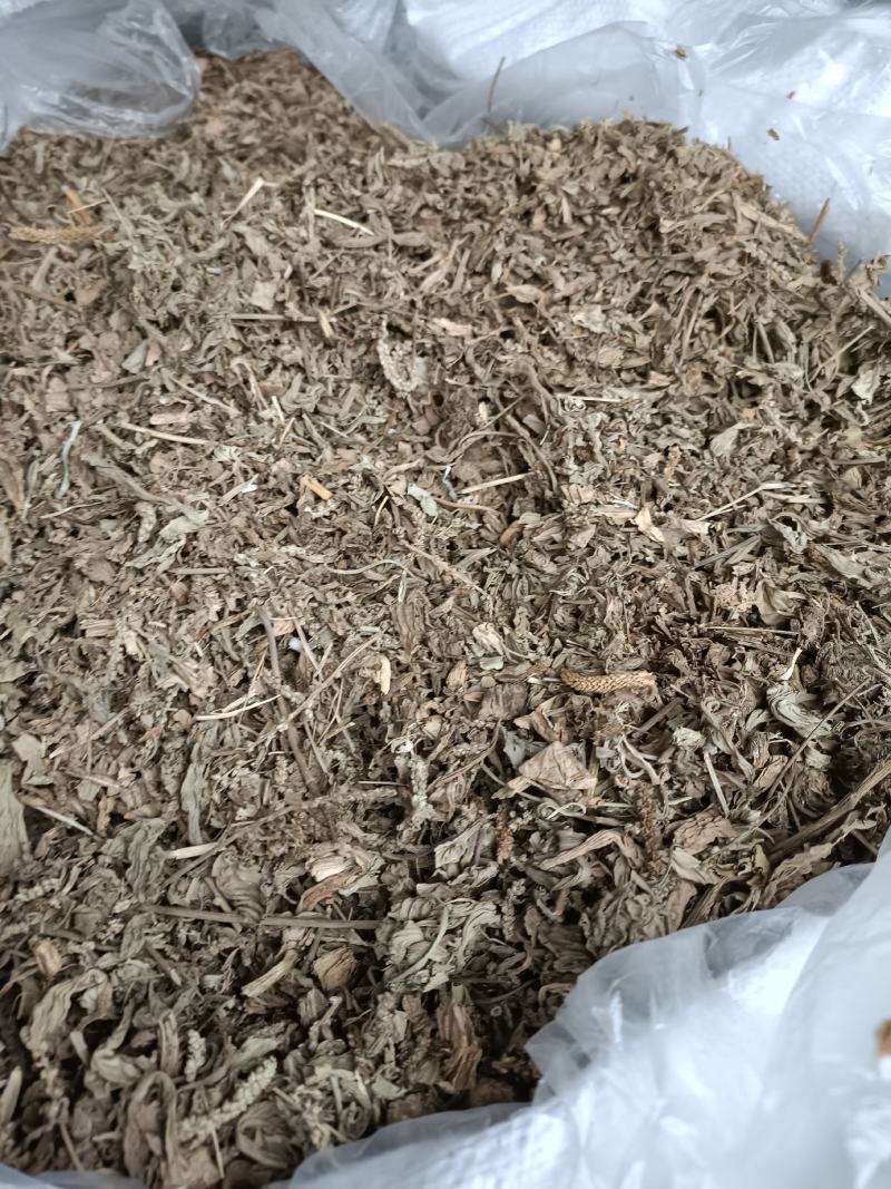 车前草，野生小颗，切片过筛，道地药材，全国发货