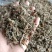 车前草，野生小颗，切片过筛，道地药材，全国发货