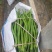 供应各种辣椒和茄子