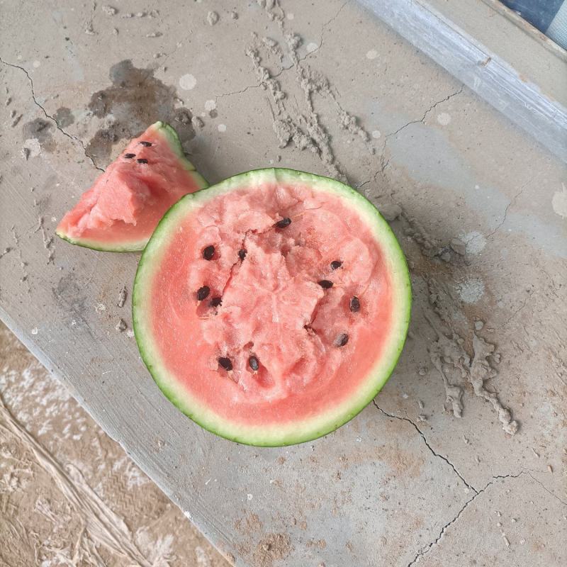 皮薄皮毛漂亮口红好好吃