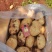 精品无苔葱