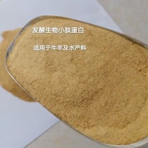 小肽蛋白粉颜色为淡黄色呈粉末状，包装袋装：50kg