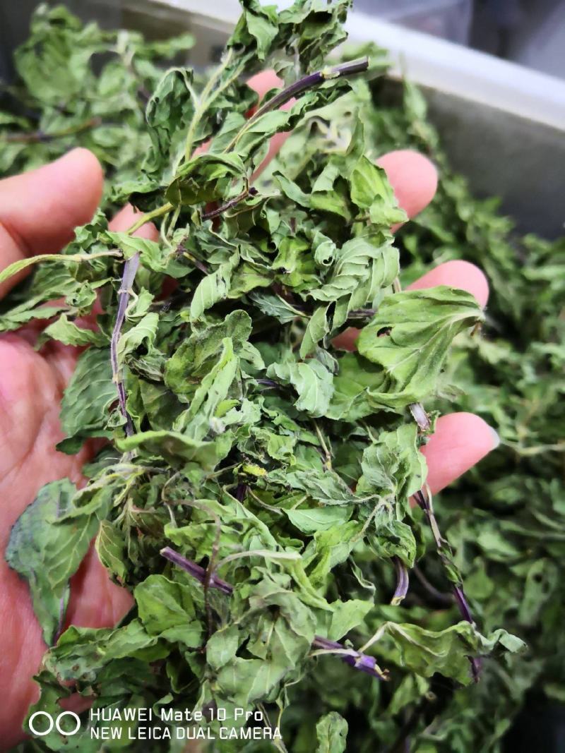 薄荷叶干货泡水喝清凉新货薄荷量大优惠