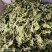 薄荷叶干货泡水喝清凉新货薄荷量大优惠