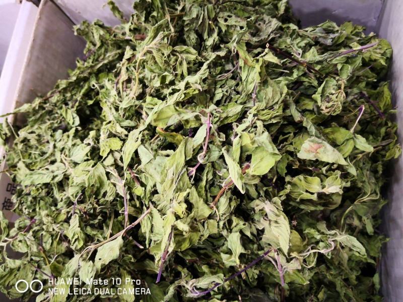 薄荷叶干货泡水喝清凉新货薄荷量大优惠