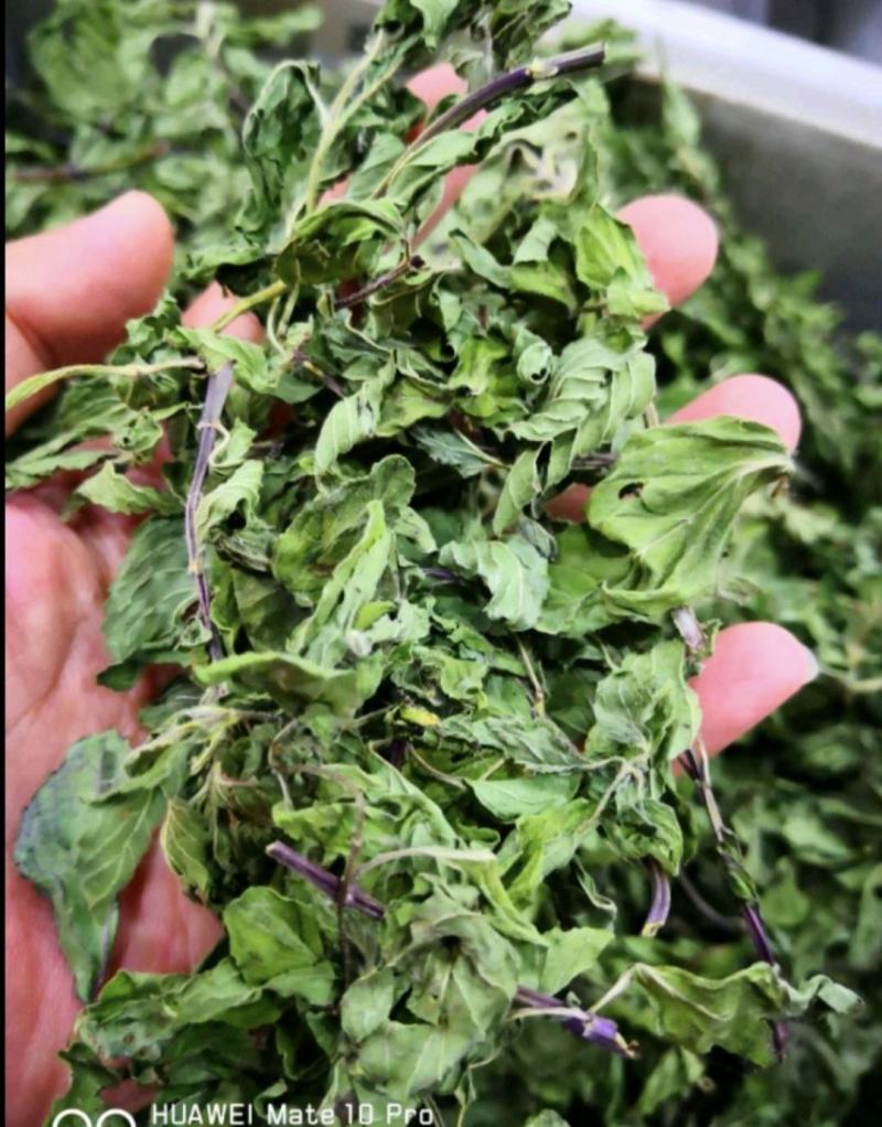 薄荷叶干货泡水喝清凉新货薄荷量大优惠