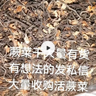 蕨菜干