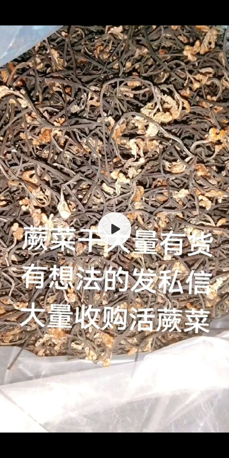 蕨菜干