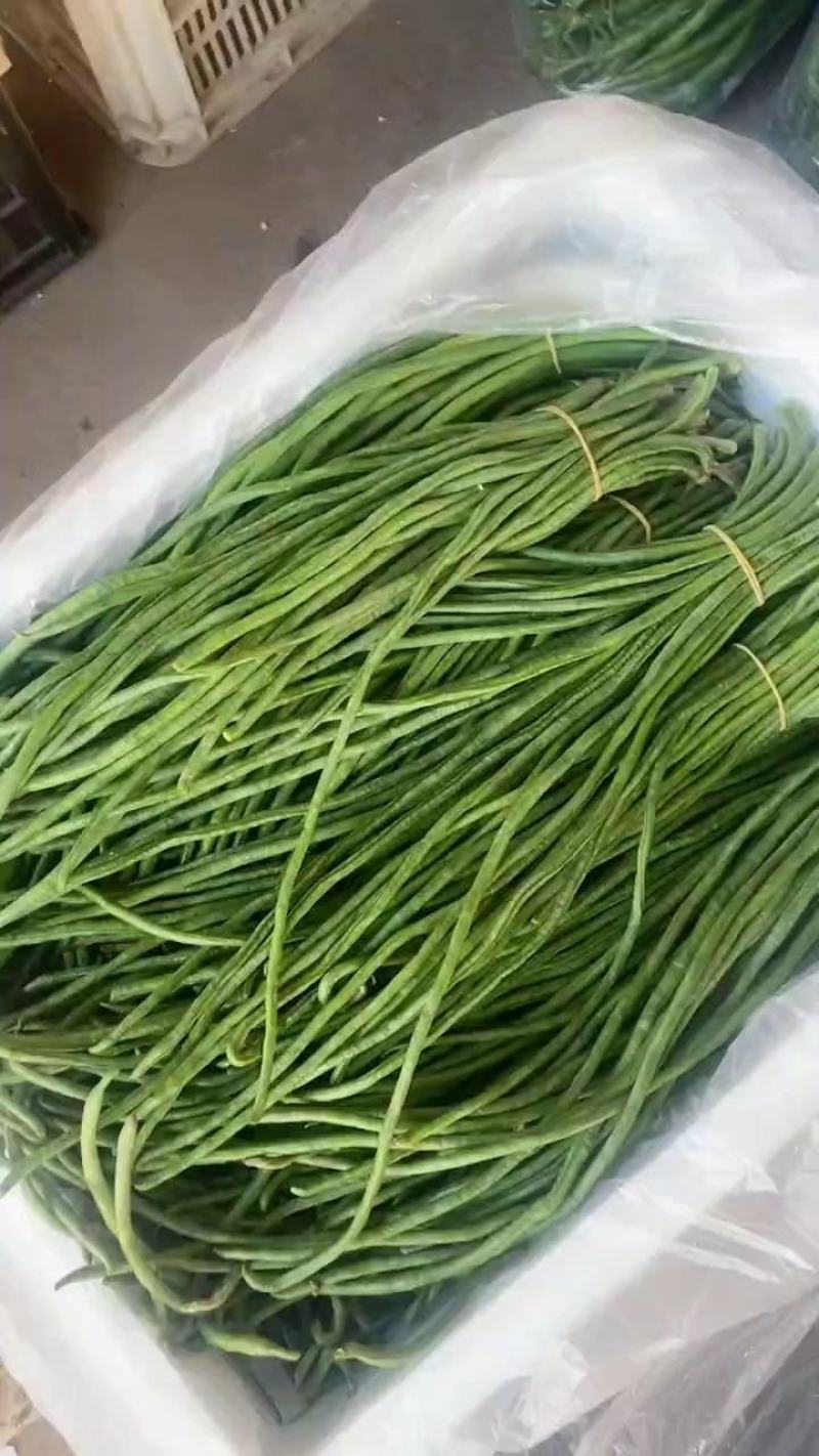 邯郸精品长豆角大量上市本地货源欢迎大家来选购