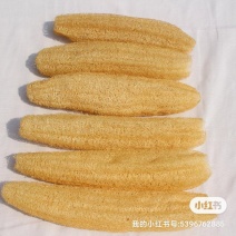 丝瓜络
