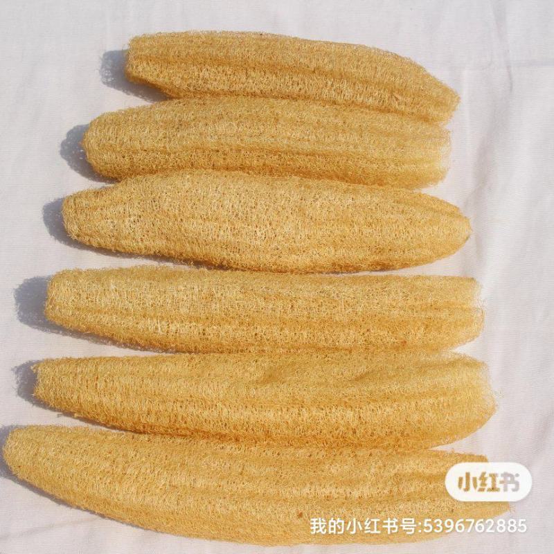 丝瓜络