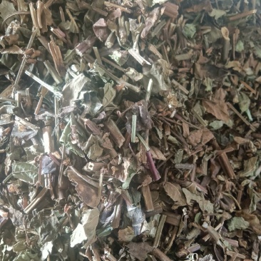 石见穿