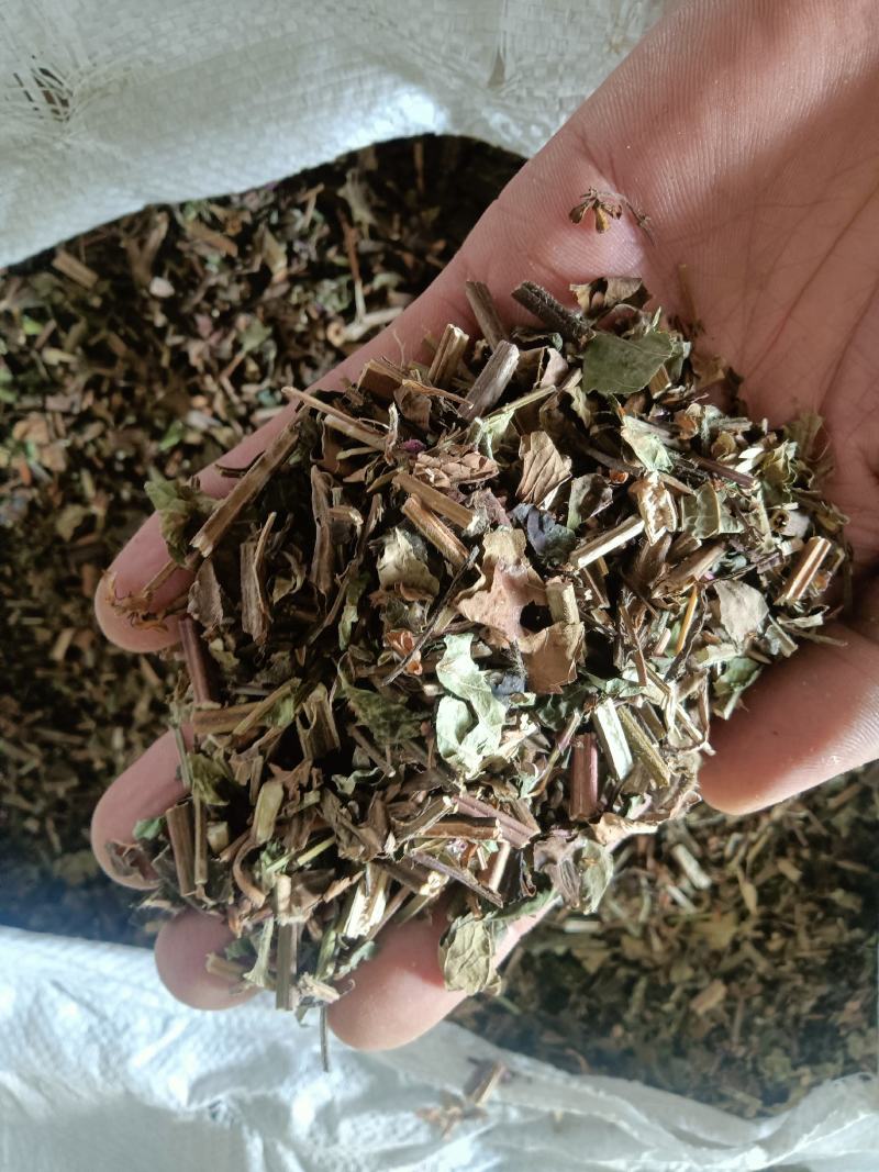 石见穿