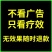 化橘红正宗化州橘红胎芯果切片化桔红茶咽喉舒畅5克100