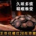 化橘红正宗化州橘红胎芯果切片化桔红茶咽喉舒畅5克100