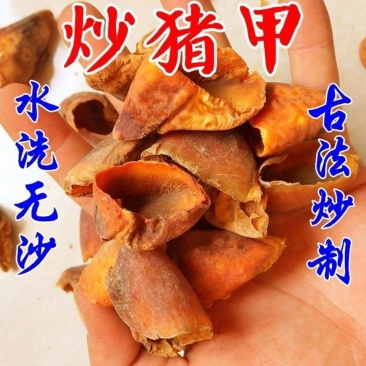 中药材炒猪脚甲壳炙猪甲蹄壳猪蹄甲店有生猪脚壳包邮
