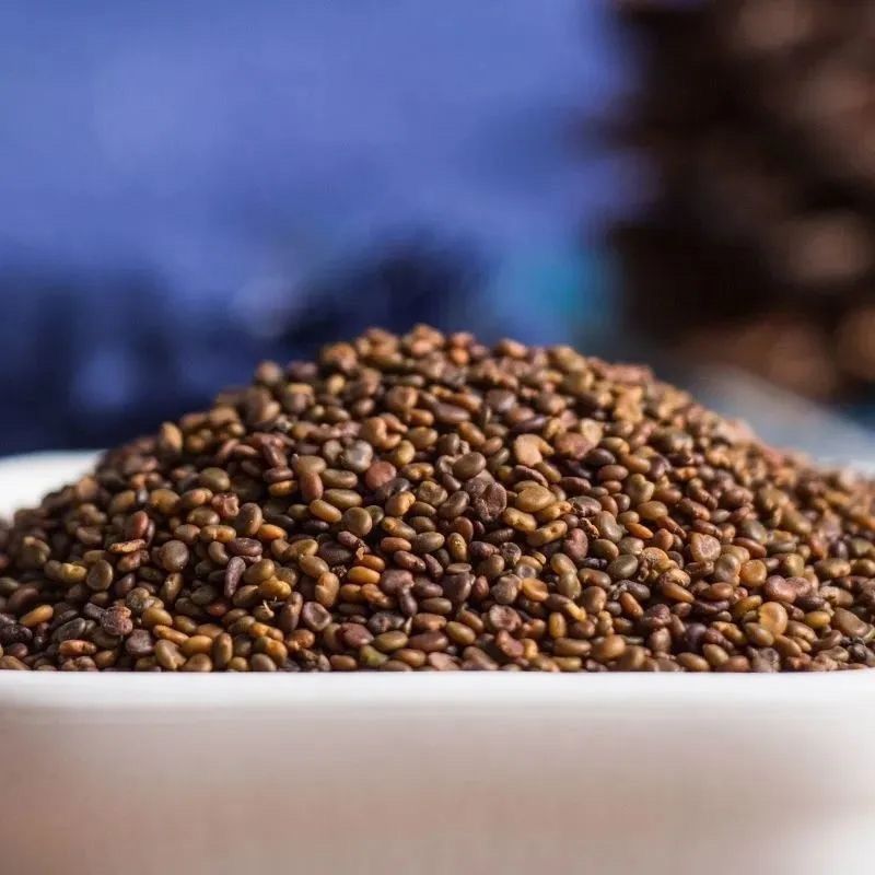 沙苑子沙苑子泡茶泡酒料泡茶泄中药材免洗沙苑子阳茶老公茶
