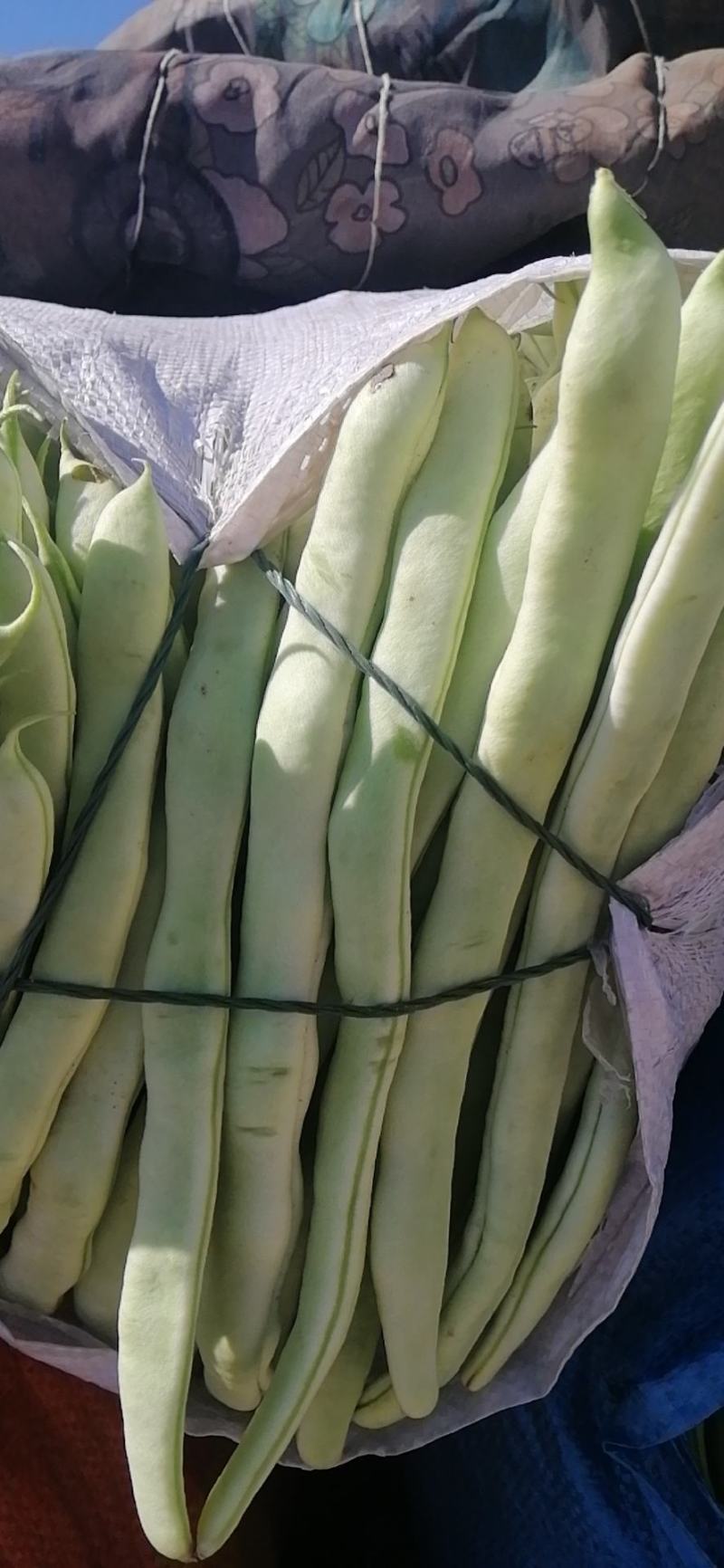 豆角