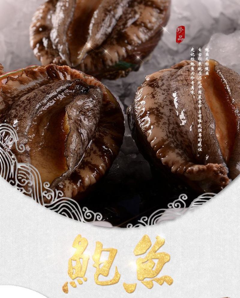 鲜活鲍鱼九孔小鲍鱼鲍鱼鲜活22头，30头整箱包邮批发零
