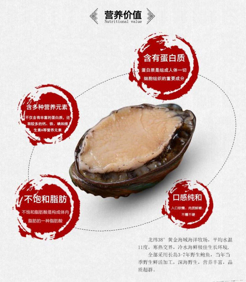 鲜活鲍鱼九孔小鲍鱼鲍鱼鲜活22头，30头整箱包邮批发零