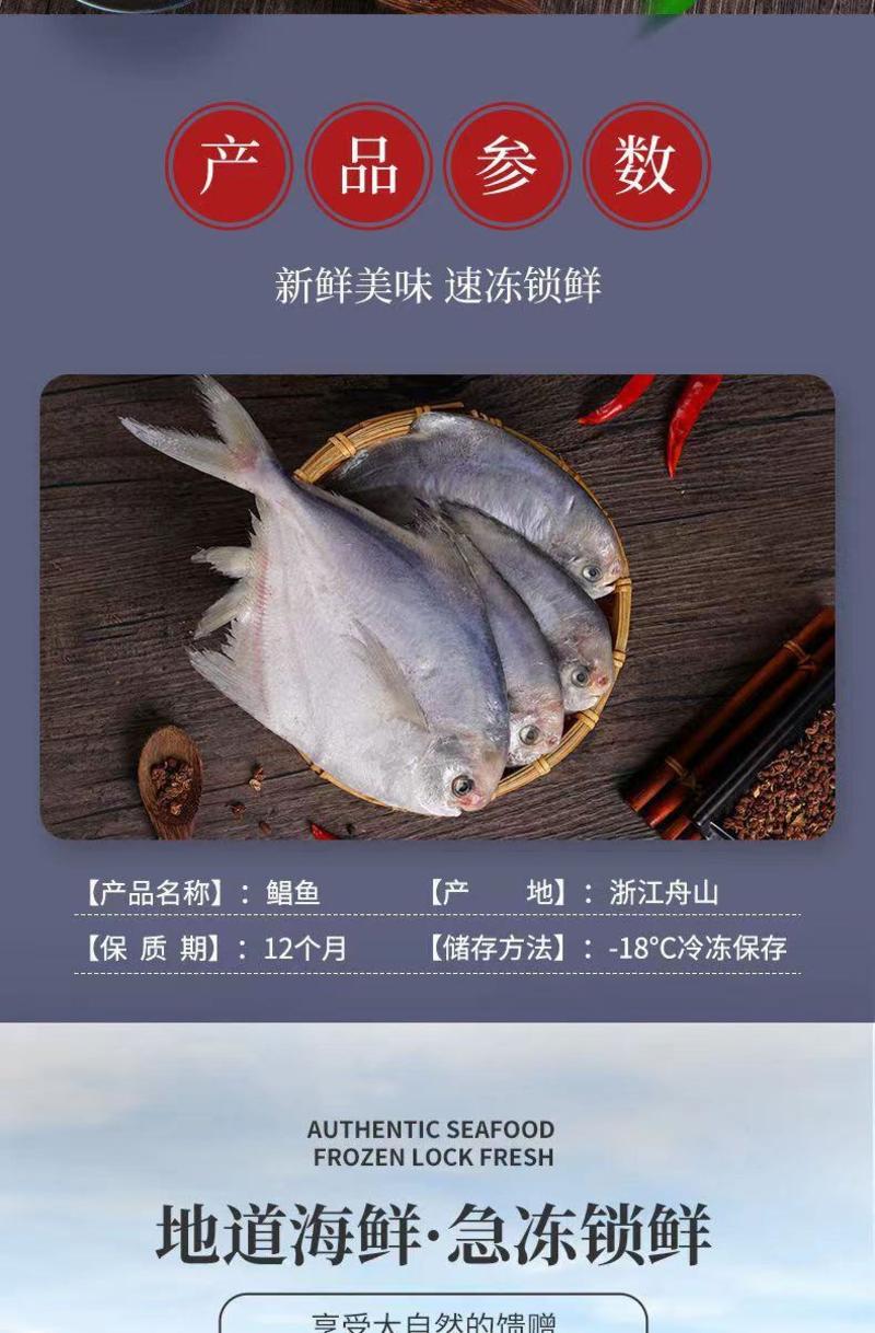 鲳鱼银鲳鱼白鲳鱼平鱼5斤新鲜海鲜水产鲜活冷冻日照特产