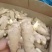 【脱毒368高产姜种】保证出芽率/亩产过万/全国发货