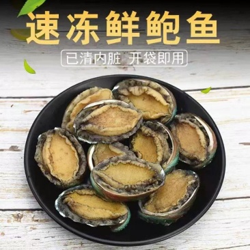 厂家直销八头十头即食鲍鱼冷冻送礼礼品量大价优