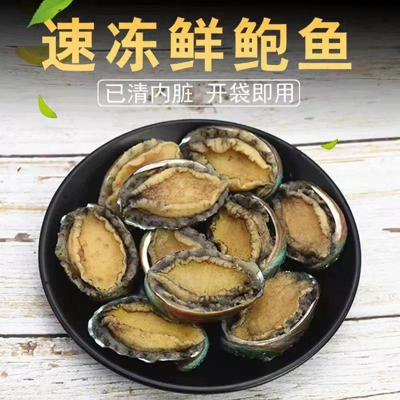 厂家直销八头十头即食鲍鱼冷冻送礼礼品量大价优