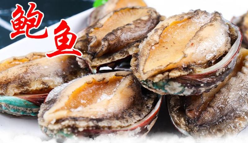 厂家直销八头十头即食鲍鱼冷冻送礼礼品量大价优