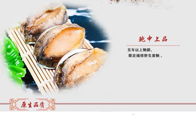 厂家直销八头十头即食鲍鱼冷冻送礼礼品量大价优