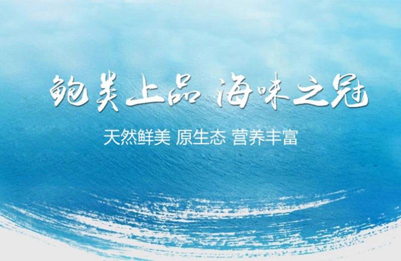 厂家直销八头十头即食鲍鱼冷冻送礼礼品量大价优