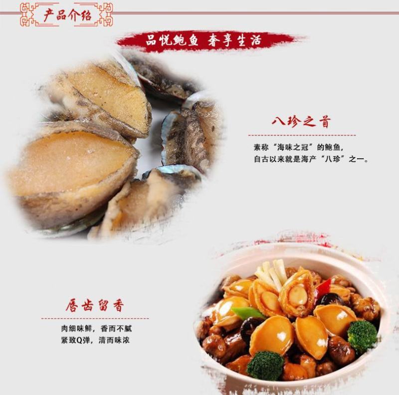 厂家直销八头十头即食鲍鱼冷冻送礼礼品量大价优