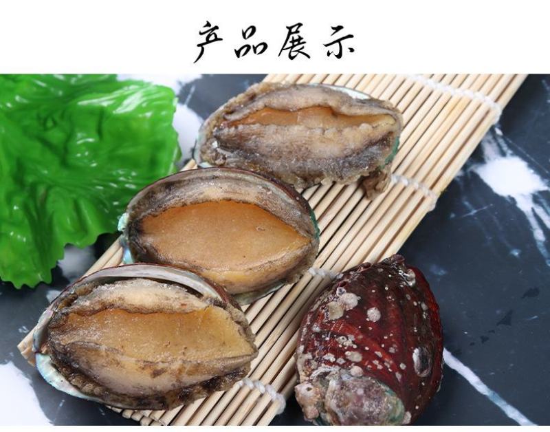 厂家直销八头十头即食鲍鱼冷冻送礼礼品量大价优