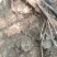 新鲜何首乌精选野生鲜干货货源充足可图片选货