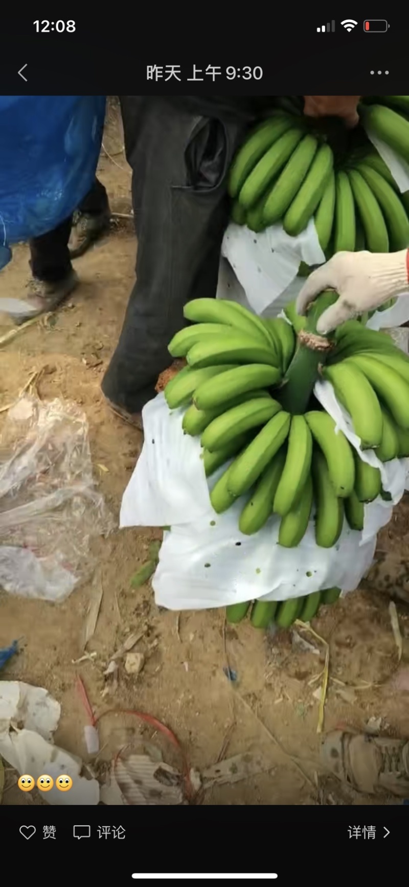 海南香蕉巴西焦专业代办场地直发挂车需要的老板可以联系我