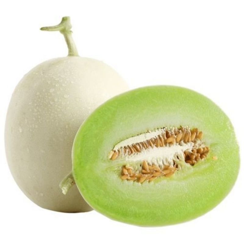 山东头茬玉菇甜瓜一件代发品质保证产地直发电商代发稳定供应