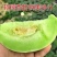 山东头茬玉菇甜瓜一件代发品质保证产地直发电商代发稳定供应