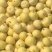 【黄金蜜甜瓜】脆甜多汁，现摘现发，可对接电商商超价优