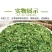 脱水香菜烘干香菜香菜干脱水蔬菜香菜脱水产品