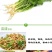 脱水香菜烘干香菜香菜干脱水蔬菜香菜脱水产品
