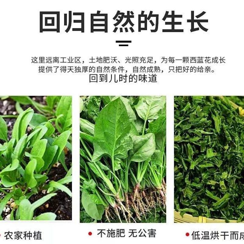 脱水蔬菜批发脱水菠菜调料包调味品烘干蔬菜烘干菠菜一件代发
