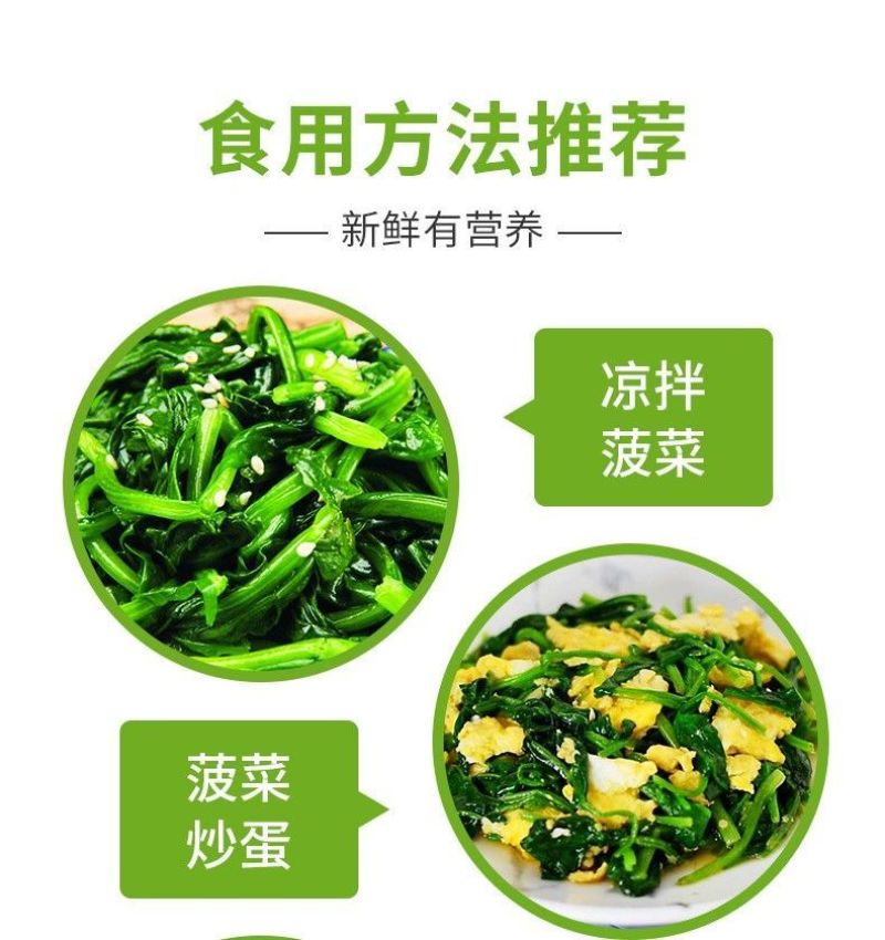 脱水蔬菜批发脱水菠菜调料包调味品烘干蔬菜烘干菠菜一件代发