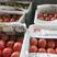 四川本地番茄，菜番茄，硬粉，对接市场，超市，拖板鞋