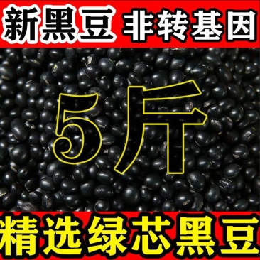 23年新货黑豆打豆浆专用黄心黑小豆打豆浆醋泡生豆芽农家自